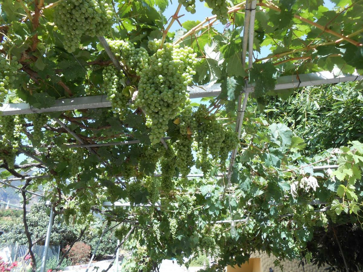 Casitas Las Uvas Y Las Vinas Los Realejos Eksteriør billede