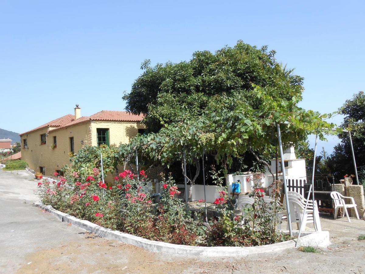 Casitas Las Uvas Y Las Vinas Los Realejos Eksteriør billede